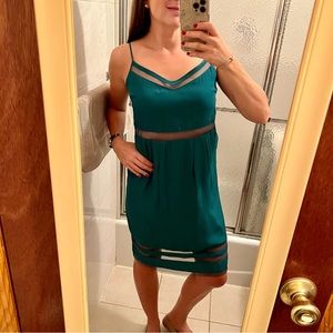 Elizabeth and James Silky Dress with Mesh Panels